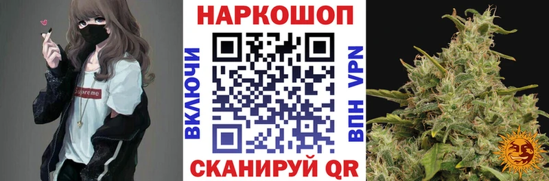 Галлюциногенные грибы Тверь