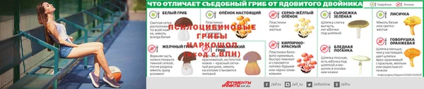 COCAINE Богородицк