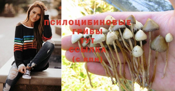 COCAINE Богородицк