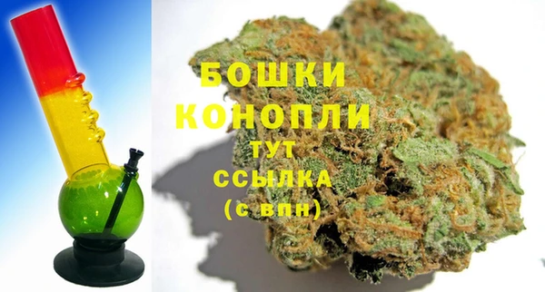 дурь Богданович