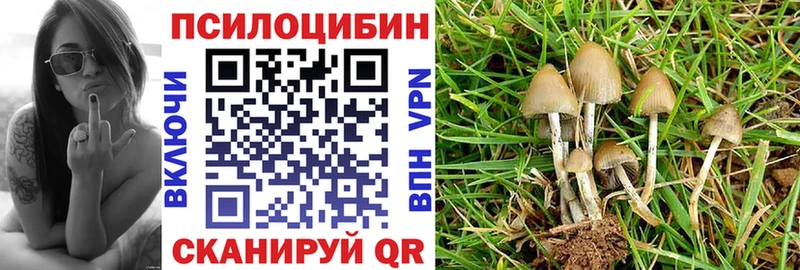 Псилоцибиновые грибы мицелий  наркота  Тверь 